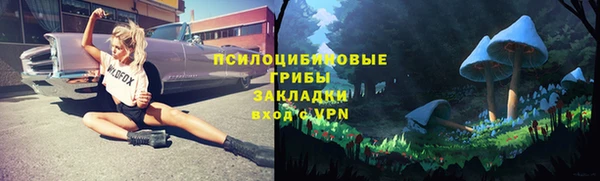 бутират Елабуга