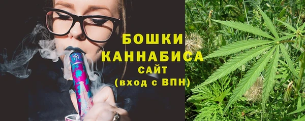 a pvp Ельня