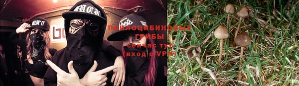 a pvp Ельня
