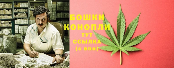 a pvp Ельня