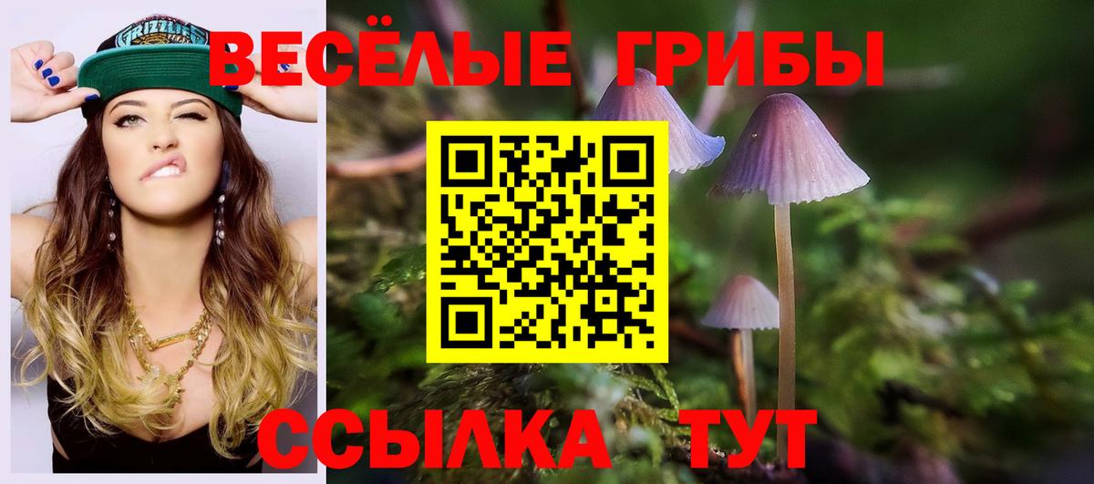 хочу наркоту  Псилоцибиновые грибы MAGIC MUSHROOMS  Псилоцибиновые грибы Magic Shrooms  Вход с VPN  Искитим 