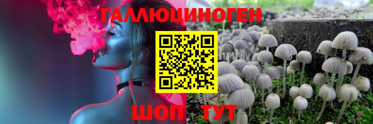 Псилоцибиновые грибы Psilocybe Искитим